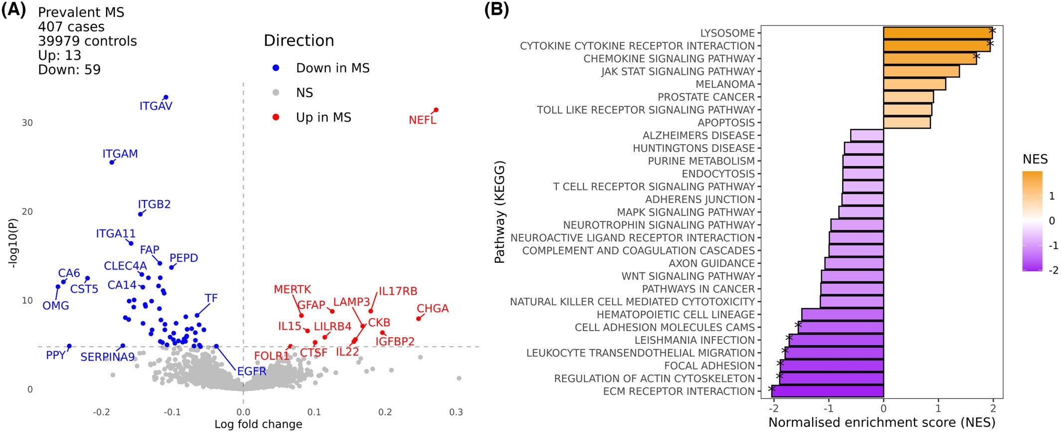 Plasma proteomic profiles of UK Biobank participants with multiple sclerosis