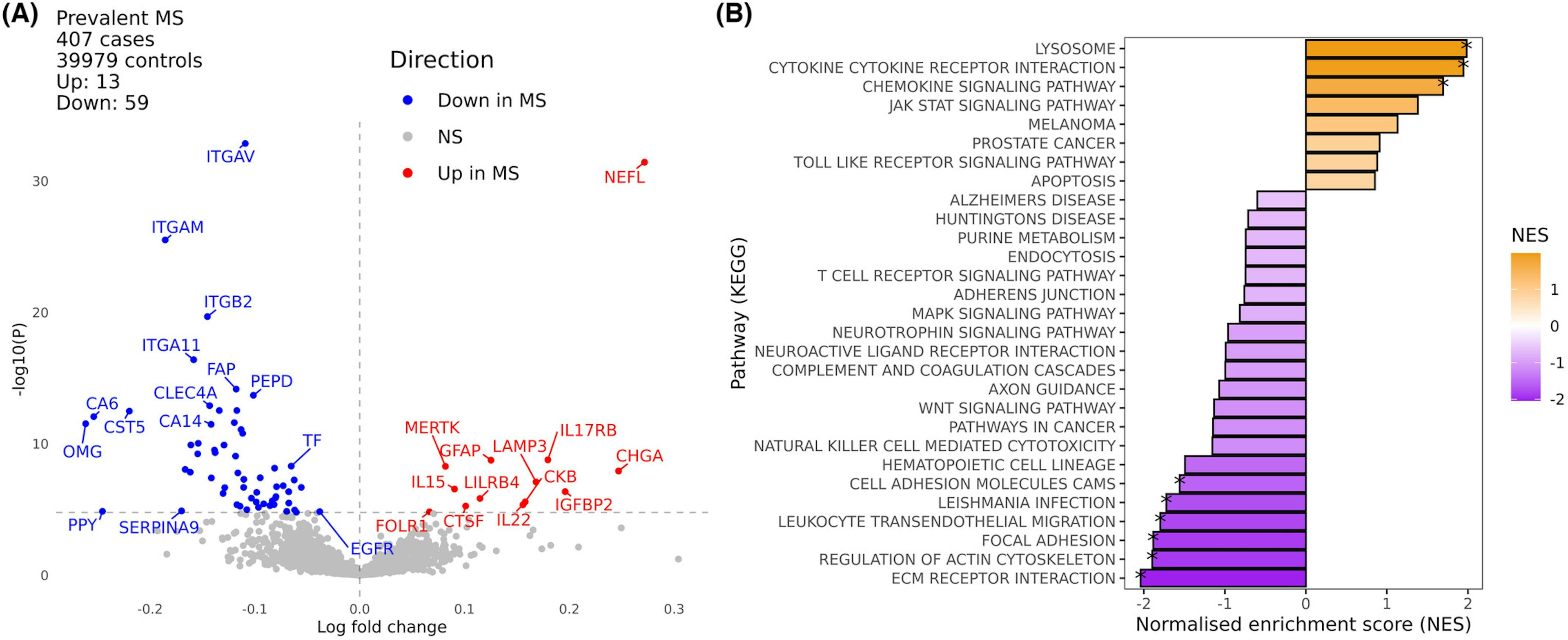 Plasma proteomic profiles of UK Biobank participants with multiple sclerosis