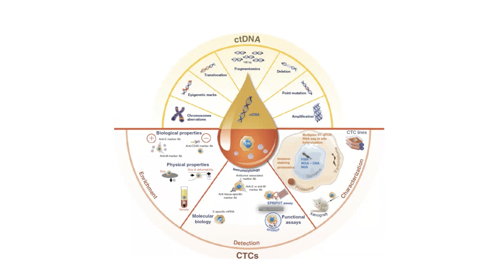 Identify non-invasive biomarkers — Olink®