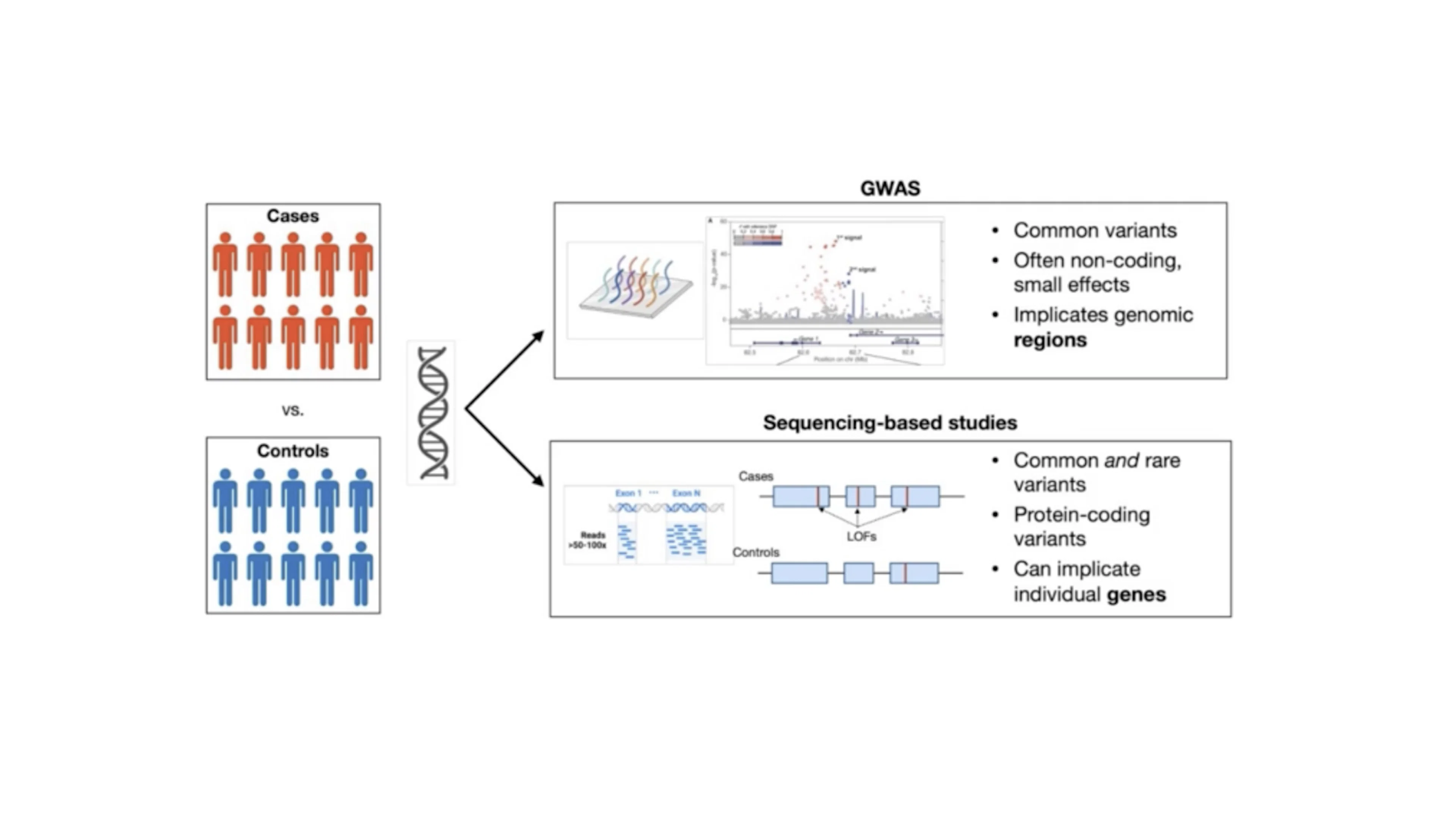 How Olink Works UK Biobank Population-level Studies Using Olink’s PEA Technology ...
