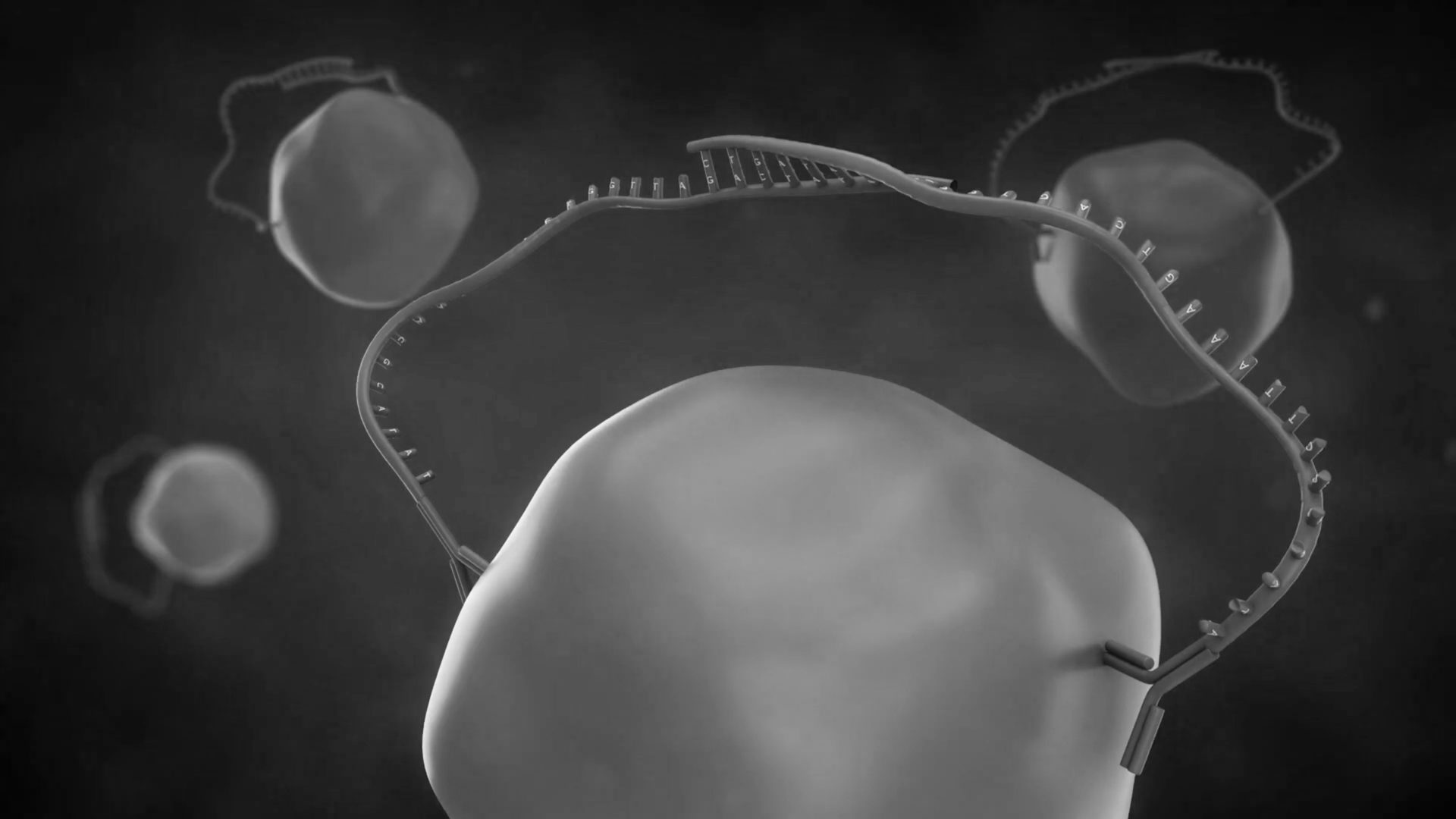 How Olink Works How PEA technology works — Olink®